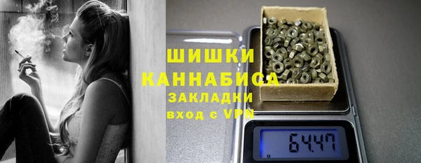 ECSTASY Богородицк