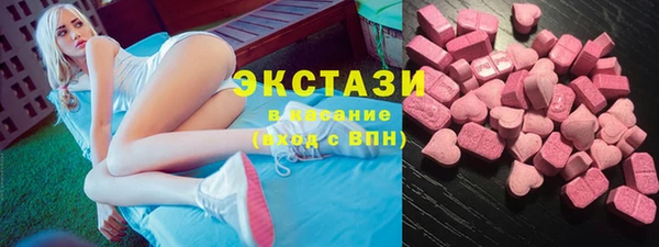 ECSTASY Богородицк